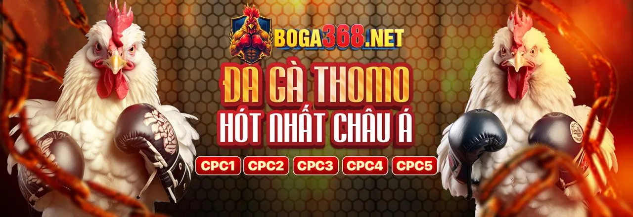 Các loại hình đá gà phổ biến